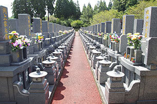 imgp7691.jpg