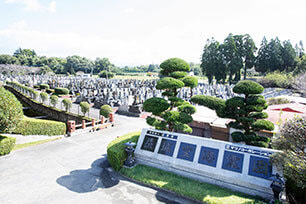 039a3785a.jpg